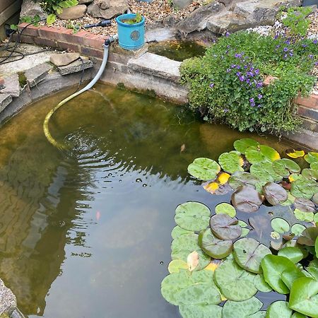 Pond Cottage Перли Экстерьер фото
